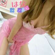 ヒメ日記 2025/06/05 14:33 投稿 はな トマトなび