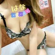 ヒメ日記 2025/06/06 06:53 投稿 はな トマトなび