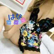 ヒメ日記 2025/06/20 08:21 投稿 はな トマトなび