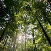 ヒメ日記 2025/06/22 06:49 投稿 はな トマトなび