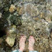 ヒメ日記 2025/06/24 23:29 投稿 はな トマトなび