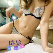 ヒメ日記 2025/06/27 23:26 投稿 はな トマトなび