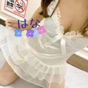 ヒメ日記 2025/07/09 07:53 投稿 はな トマトなび