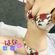 ヒメ日記 2025/07/11 16:54 投稿 はな トマトなび