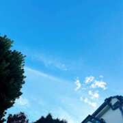 ヒメ日記 2025/07/14 20:41 投稿 はな トマトなび