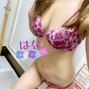 ヒメ日記 2025/07/14 23:12 投稿 はな トマトなび