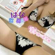 ヒメ日記 2025/07/17 17:11 投稿 はな トマトなび