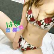 ヒメ日記 2025/07/26 07:06 投稿 はな トマトなび