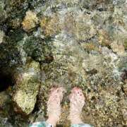 ヒメ日記 2025/07/30 12:51 投稿 はな トマトなび