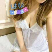 ヒメ日記 2025/08/07 09:38 投稿 はな トマトなび