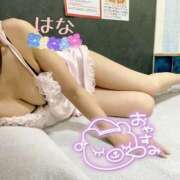 ヒメ日記 2025/08/10 02:12 投稿 はな トマトなび