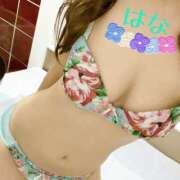 ヒメ日記 2025/08/14 12:18 投稿 はな トマトなび