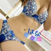 ヒメ日記 2025/08/15 07:54 投稿 はな トマトなび