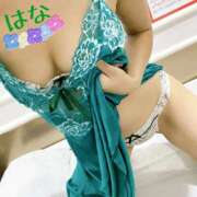 ヒメ日記 2025/08/28 06:10 投稿 はな トマトなび