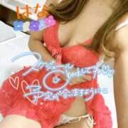 ヒメ日記 2025/08/29 12:58 投稿 はな トマトなび