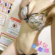 ヒメ日記 2025/08/29 22:19 投稿 はな トマトなび