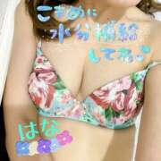 ヒメ日記 2025/08/30 14:22 投稿 はな トマトなび