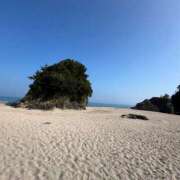 ヒメ日記 2025/08/31 23:52 投稿 はな トマトなび