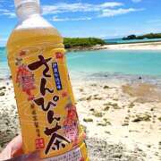 ヒメ日記 2025/09/08 23:51 投稿 はな トマトなび