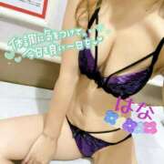 ヒメ日記 2025/09/11 07:38 投稿 はな トマトなび