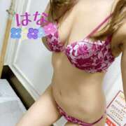 ヒメ日記 2025/09/16 07:25 投稿 はな トマトなび