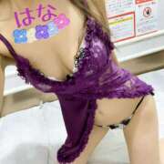 ヒメ日記 2025/09/19 08:02 投稿 はな トマトなび