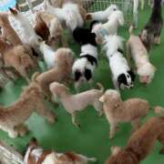 ヒメ日記 2025/09/23 23:44 投稿 はな トマトなび