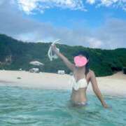 ヒメ日記 2025/09/26 18:23 投稿 はな トマトなび