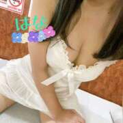 ヒメ日記 2025/09/27 07:55 投稿 はな トマトなび