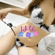 ヒメ日記 2025/09/30 07:30 投稿 はな トマトなび