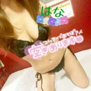 ヒメ日記 2025/10/06 17:06 投稿 はな トマトなび