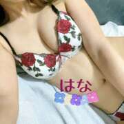 ヒメ日記 2025/10/17 07:32 投稿 はな トマトなび