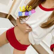 ヒメ日記 2025/10/26 23:56 投稿 はな トマトなび