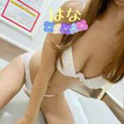 ヒメ日記 2025/10/30 22:39 投稿 はな トマトなび