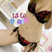 ヒメ日記 2025/11/01 08:07 投稿 はな トマトなび