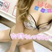 ヒメ日記 2025/11/07 23:56 投稿 はな トマトなび