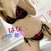 ヒメ日記 2025/11/12 08:18 投稿 はな トマトなび