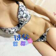 ヒメ日記 2025/11/13 01:36 投稿 はな トマトなび