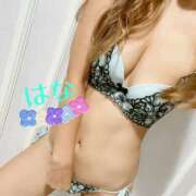 ヒメ日記 2025/11/13 23:54 投稿 はな トマトなび