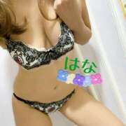 ヒメ日記 2025/11/17 17:07 投稿 はな トマトなび