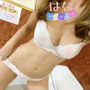 ヒメ日記 2025/11/19 07:02 投稿 はな トマトなび