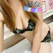 ヒメ日記 2025/11/21 07:57 投稿 はな トマトなび