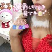 ヒメ日記 2025/11/21 21:34 投稿 はな トマトなび