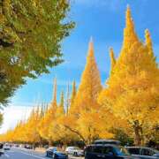 ヒメ日記 2025/11/24 14:19 投稿 はな トマトなび