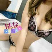 ヒメ日記 2025/11/28 20:59 投稿 はな トマトなび