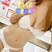 ヒメ日記 2025/11/29 22:37 投稿 はな トマトなび