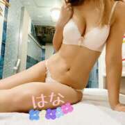 ヒメ日記 2025/11/30 10:31 投稿 はな トマトなび