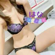 ヒメ日記 2025/11/30 18:43 投稿 はな トマトなび