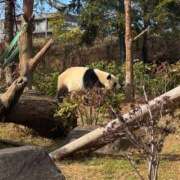 ヒメ日記 2025/12/05 22:52 投稿 はな トマトなび