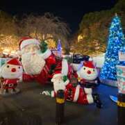 ヒメ日記 2025/12/05 23:20 投稿 はな トマトなび